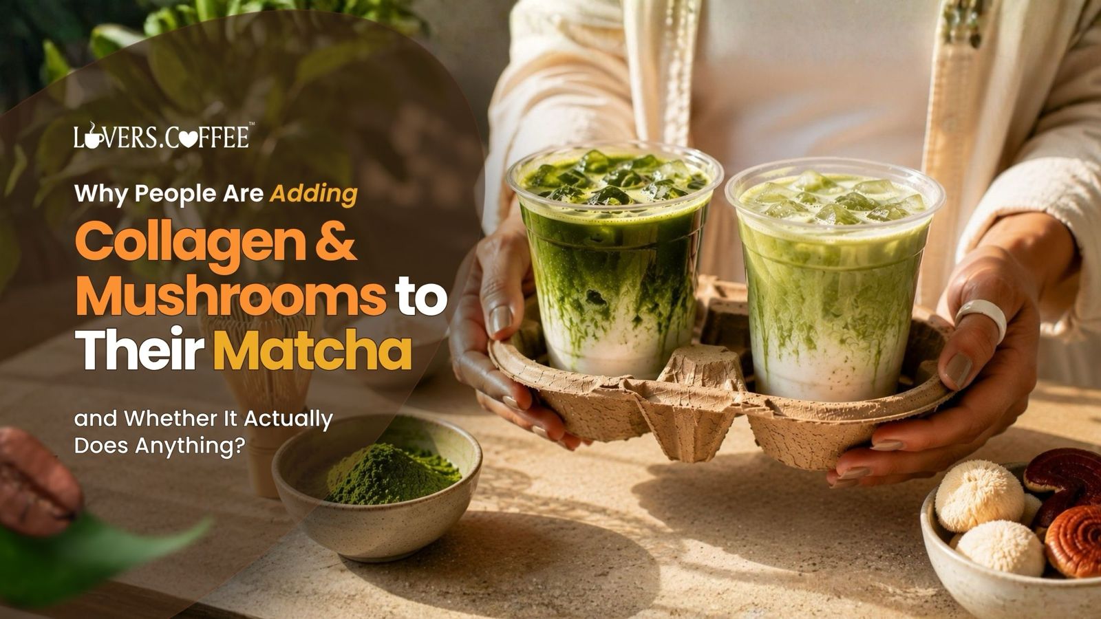 collagen and mushrooms in matcha