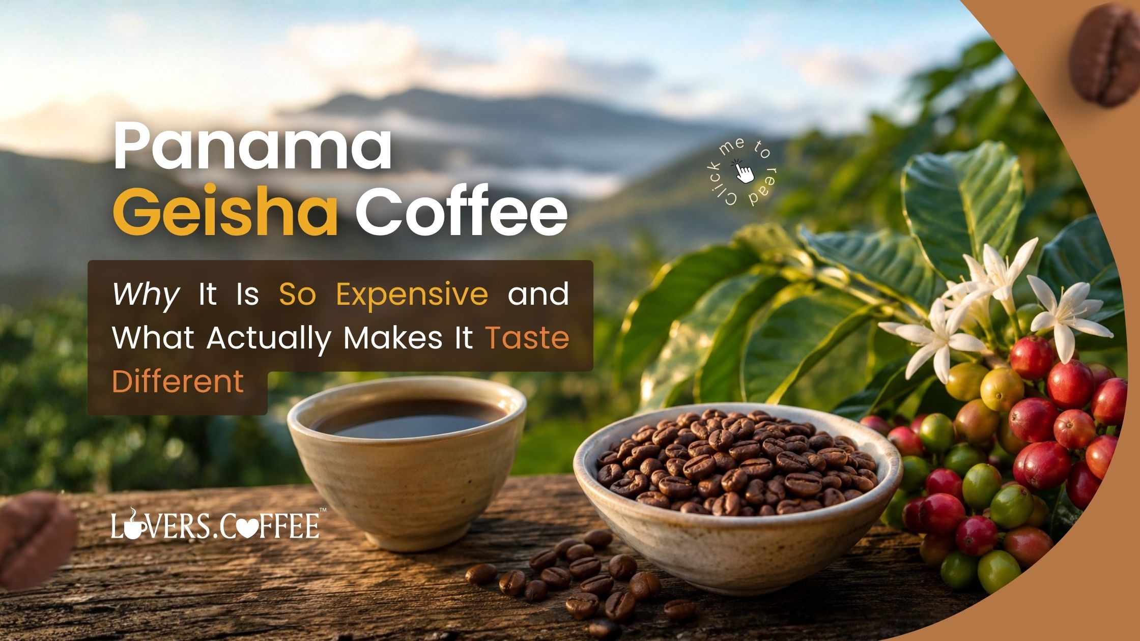 panama geisha coffee