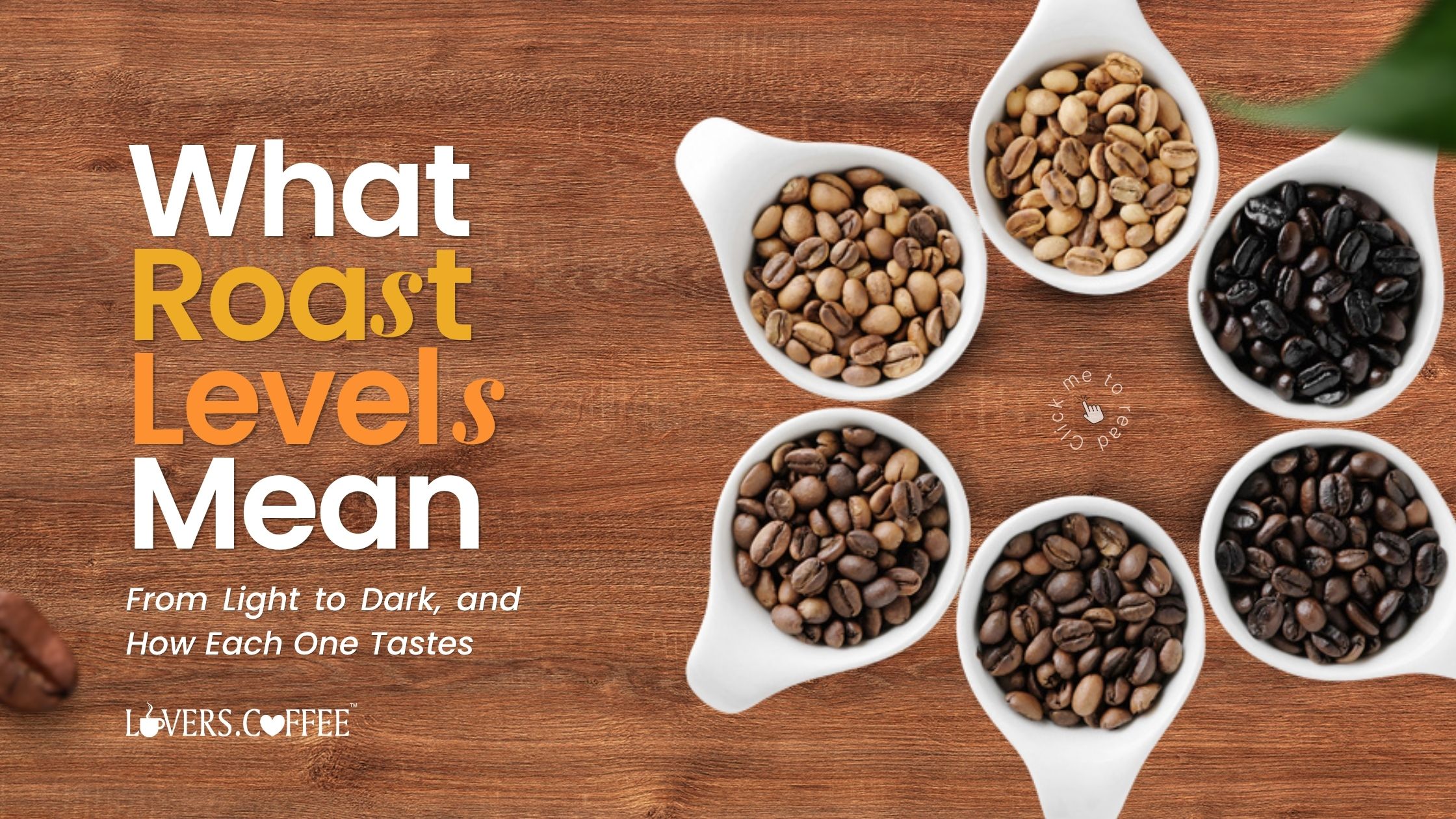 coffee roast levels