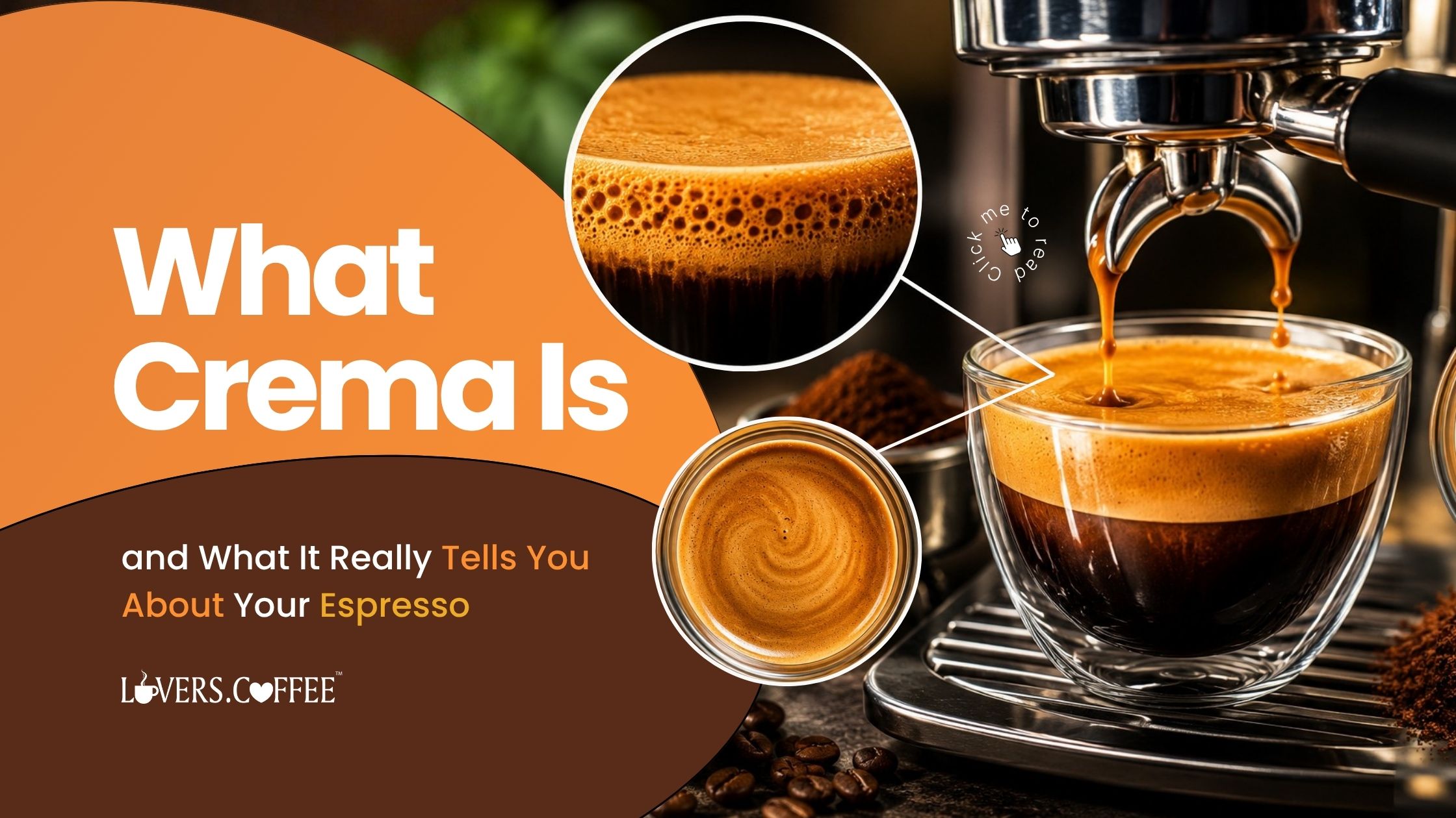 what is crema