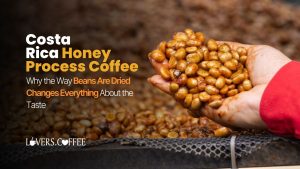 Costa Rica Honey Process