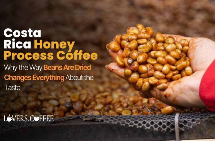 Costa Rica Honey Process